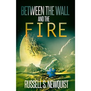 cover image of Between the Wall and the Fire